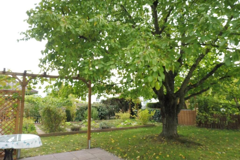 Apartement Am Kirschbaum Mommenheim エクステリア 写真
