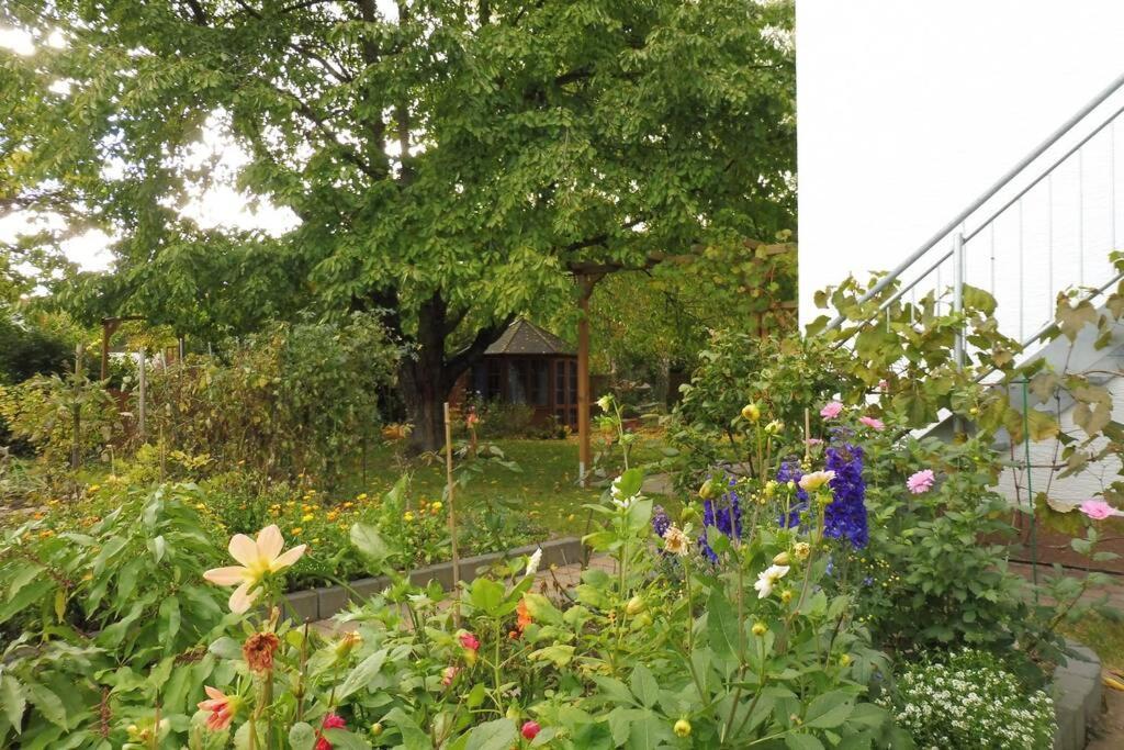 Apartement Am Kirschbaum Mommenheim エクステリア 写真