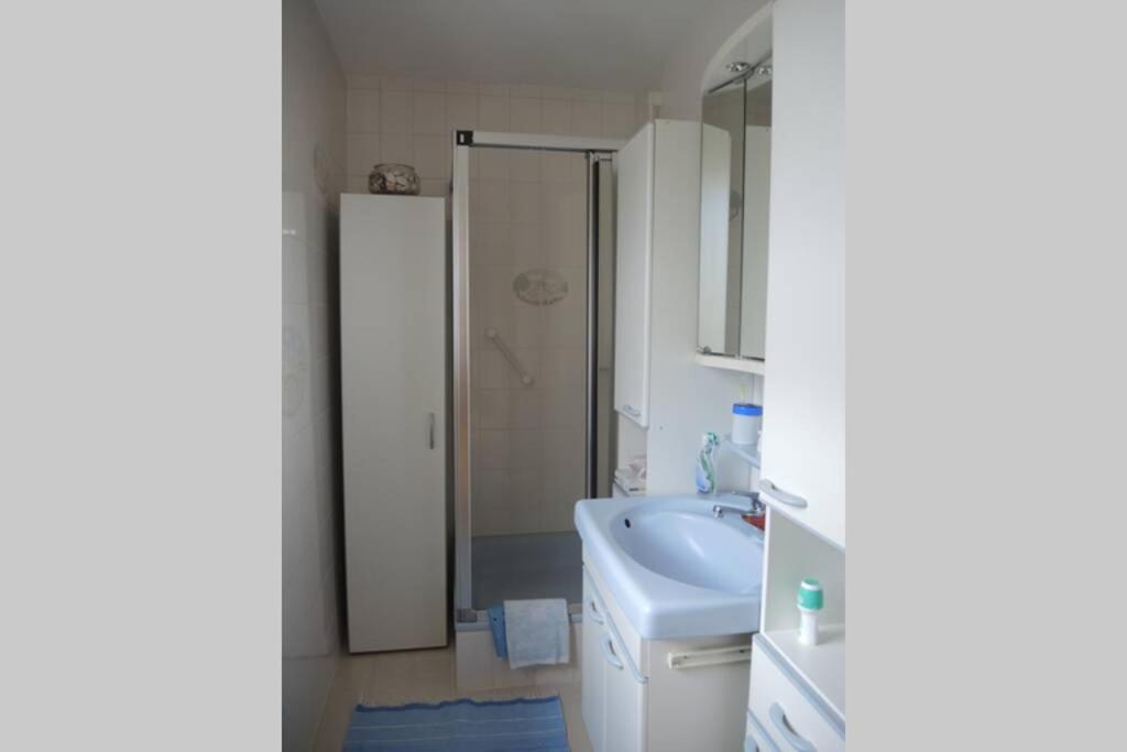 Apartement Am Kirschbaum Mommenheim エクステリア 写真